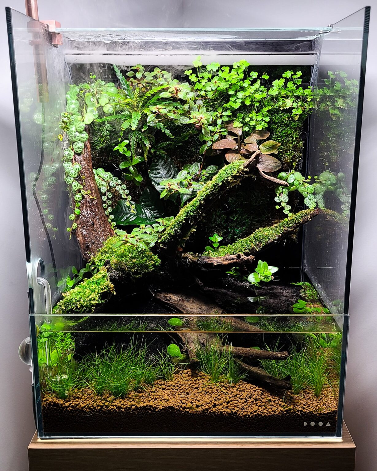 DOOA SYSTEM TERRA 30 - MISTFLOW SET | Red Leaf Aquascaping