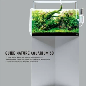 ADA nature aquarium guide 60